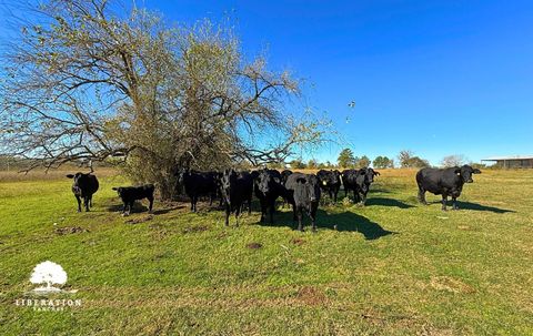 13316 Farm To Market Rd 2620 Tract 9 Bedias TX 77831