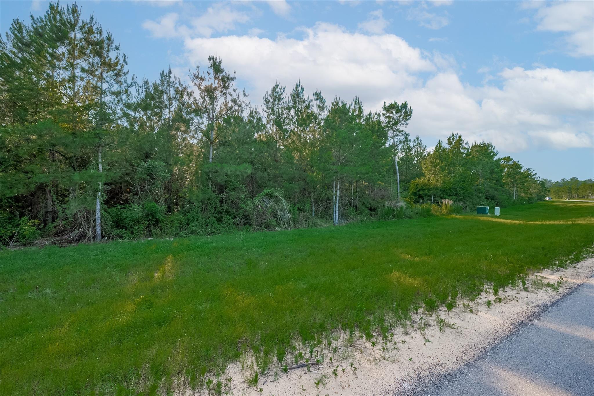 15743 Wooded Trail Way