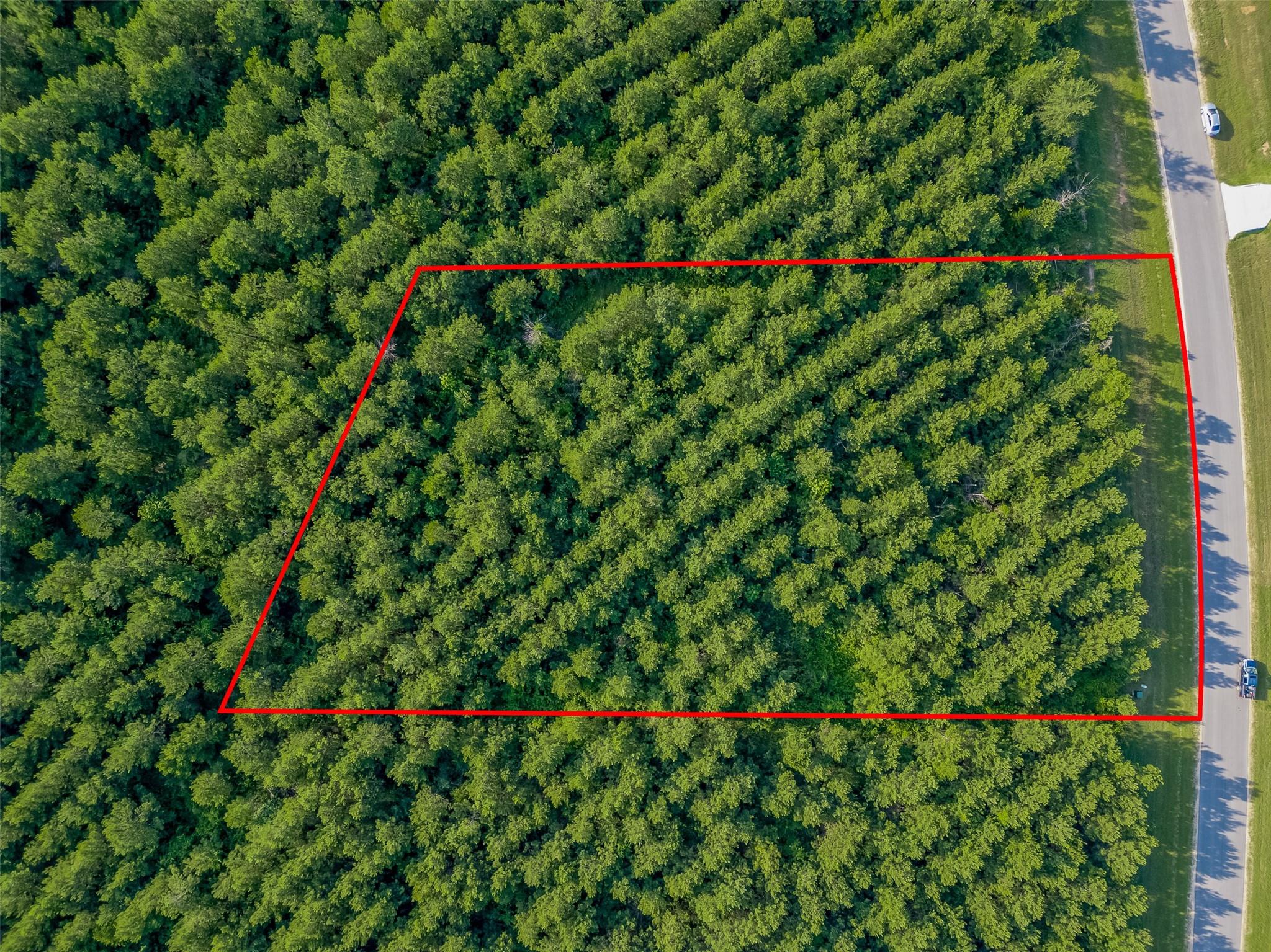 15743 Wooded Trail Way