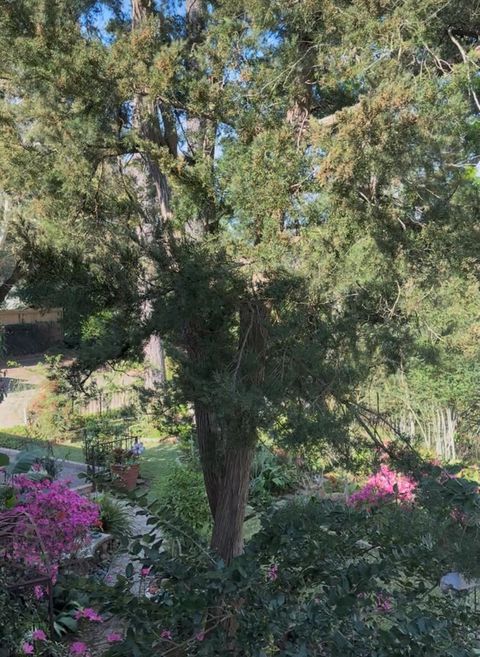 Tiny photo for 1804 Stoney Brook Drive #202, Houston, TX 77063 (MLS # 2596323)