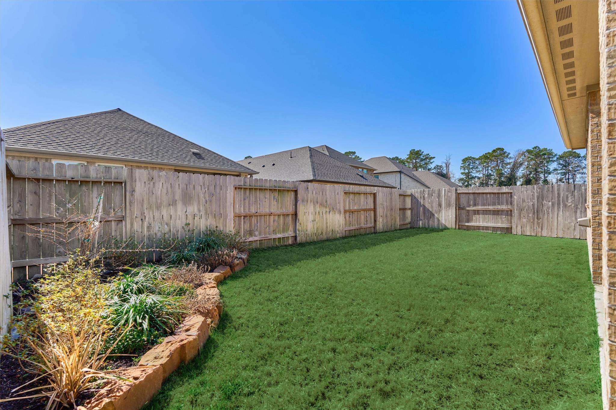 9622 Blue Water Hyssop