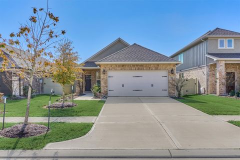 9622 Blue Water Hyssop Conroe TX 77385