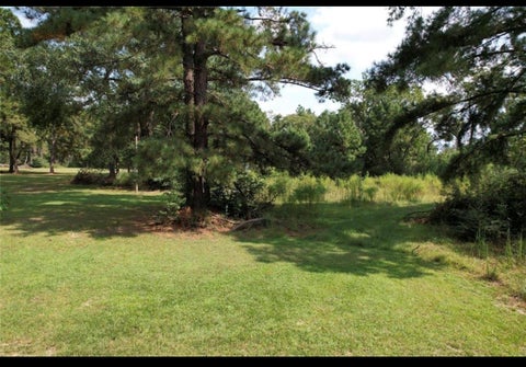 Photo of 4 Ac Lacy 3 Rd, Groveton, TX 75845 (MLS # 90127507)
