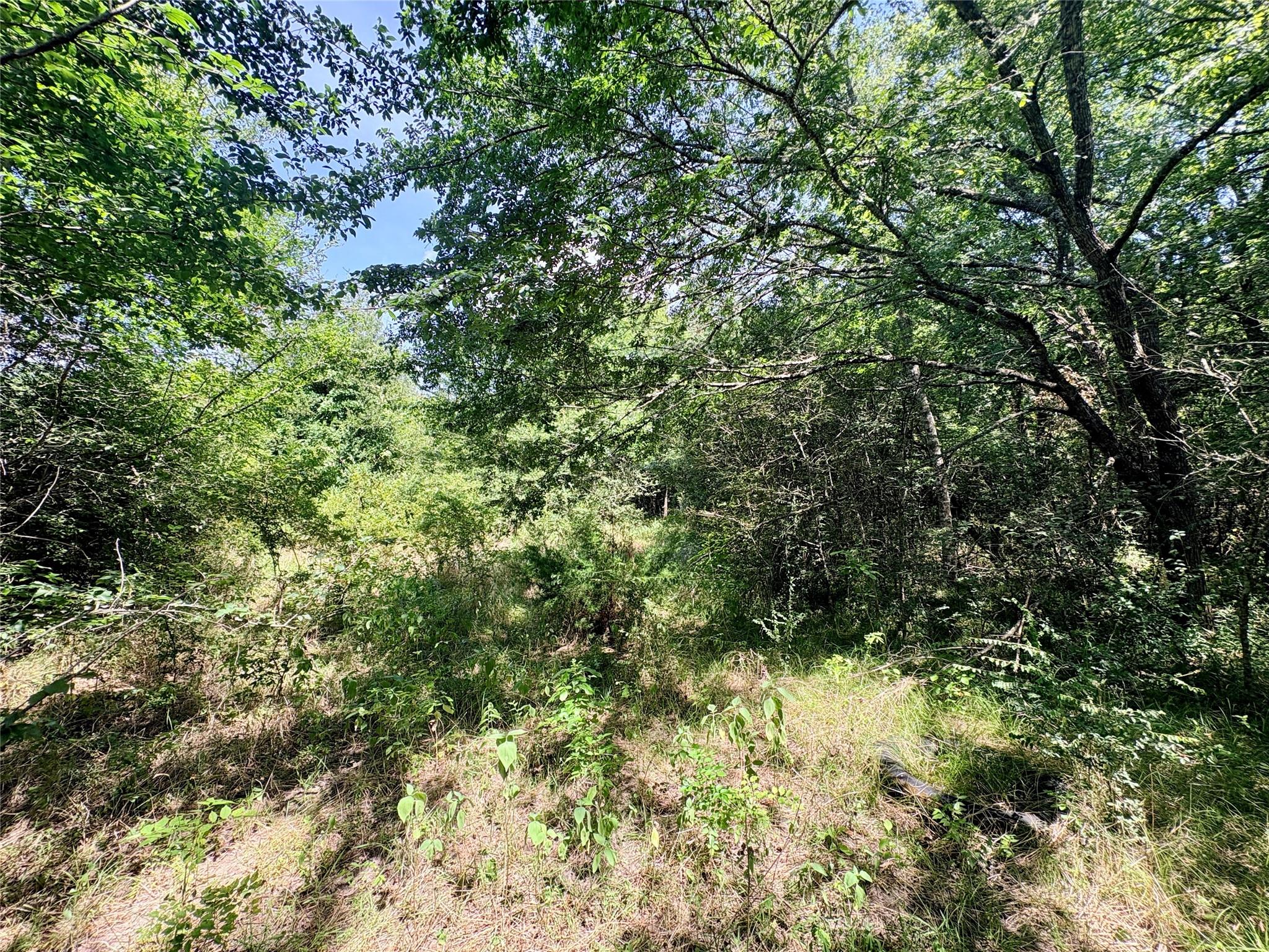 TBD 1.54ac Crennan Lane