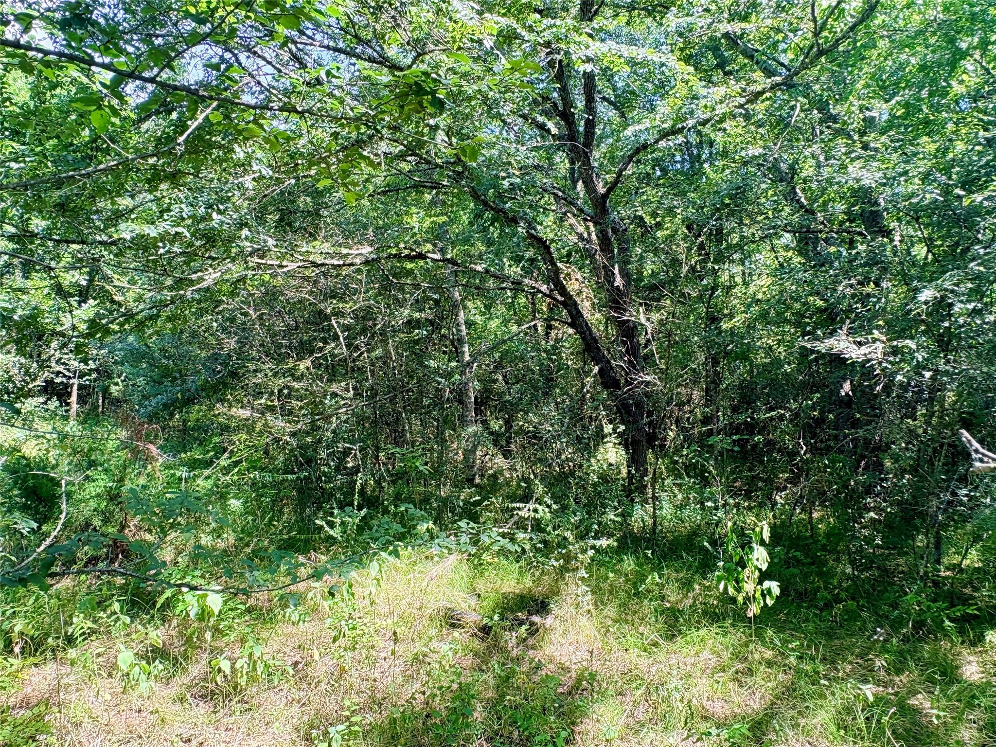 TBD 1.54ac Crennan Lane