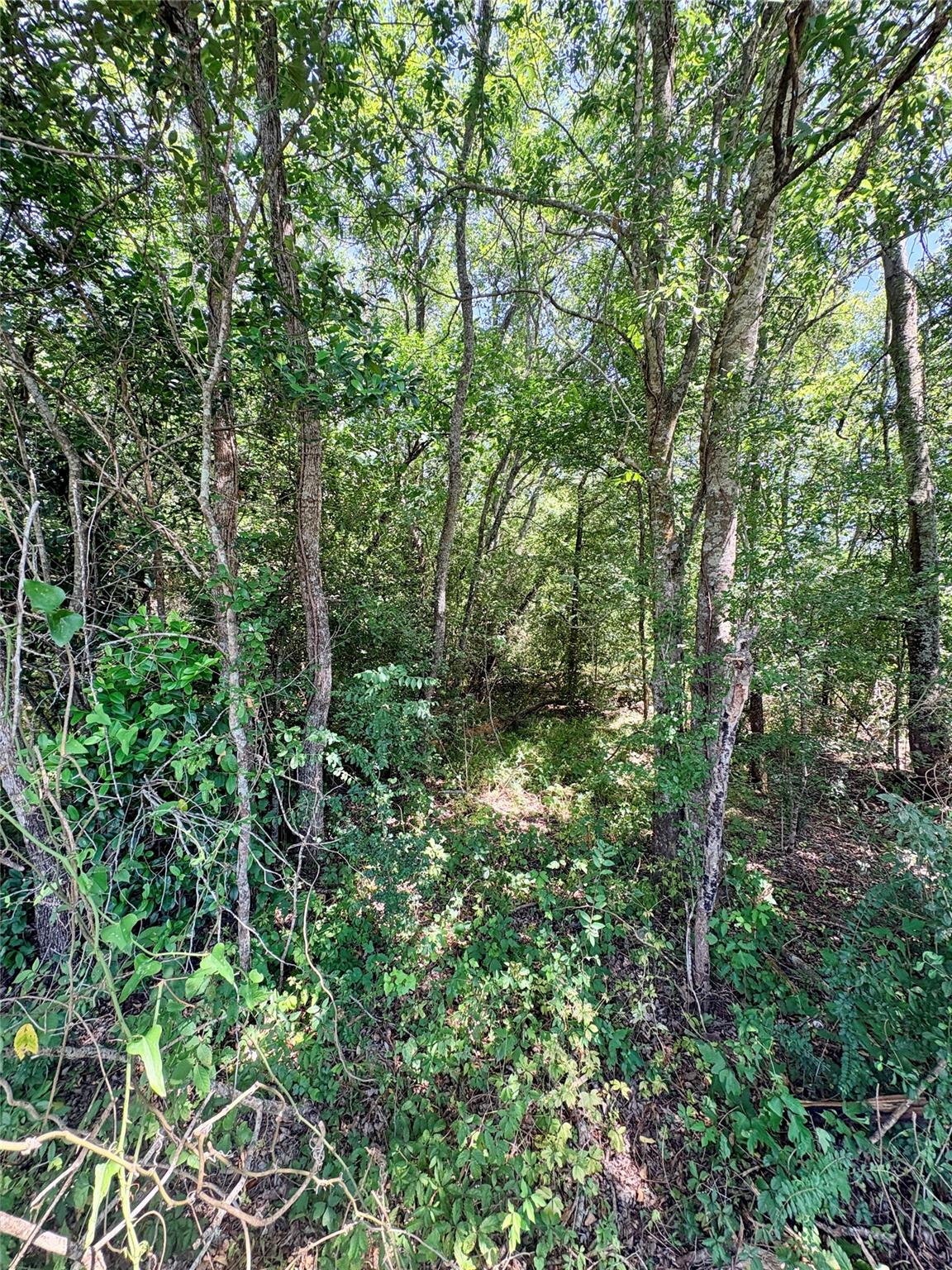 TBD 1.54ac Crennan Lane