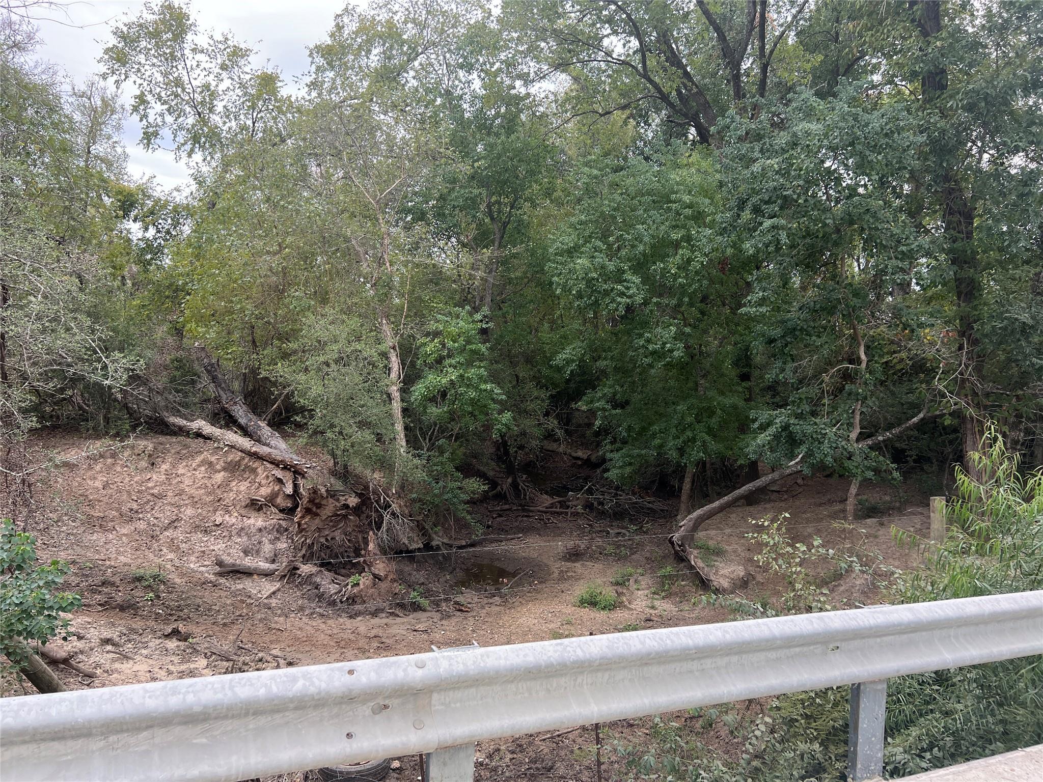 Lot #9 & #10 County Road 166