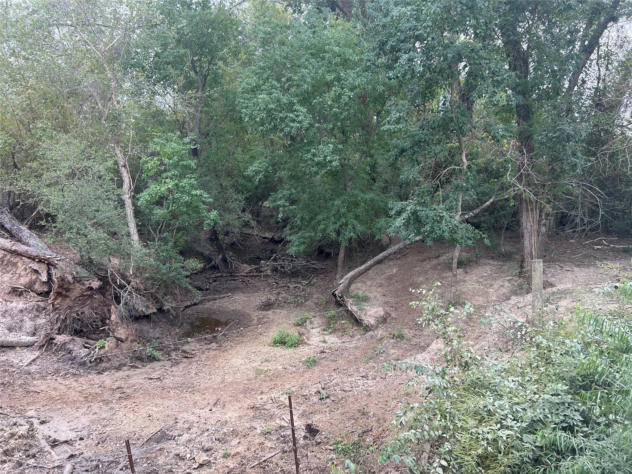 Lot #9 & #10 County Road 166