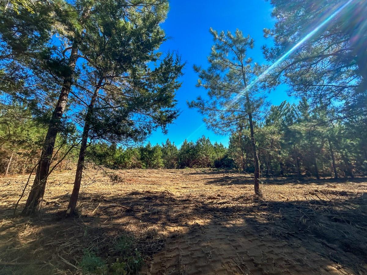 6 & 7 County Road 3121