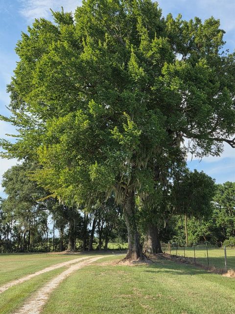 Vacant Land For Sale - S Skains Chapel Road<br/> Angelina County, Trinity, TX 75862