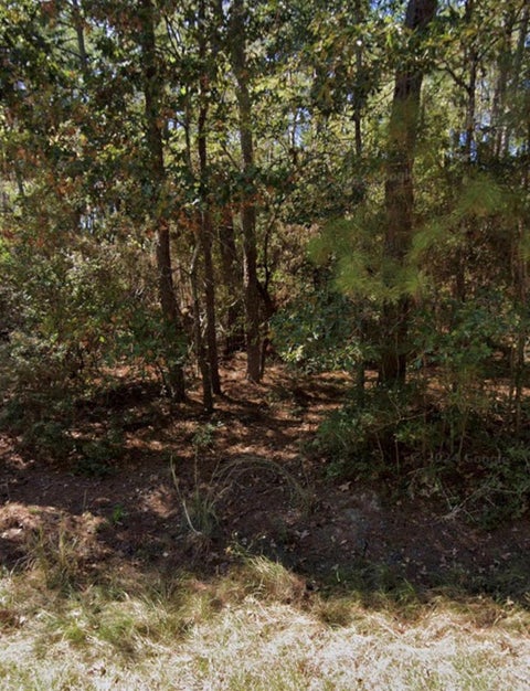 Photo of 110 Pine Point Circle, Onalaska, TX 77360 (MLS # 53697356)