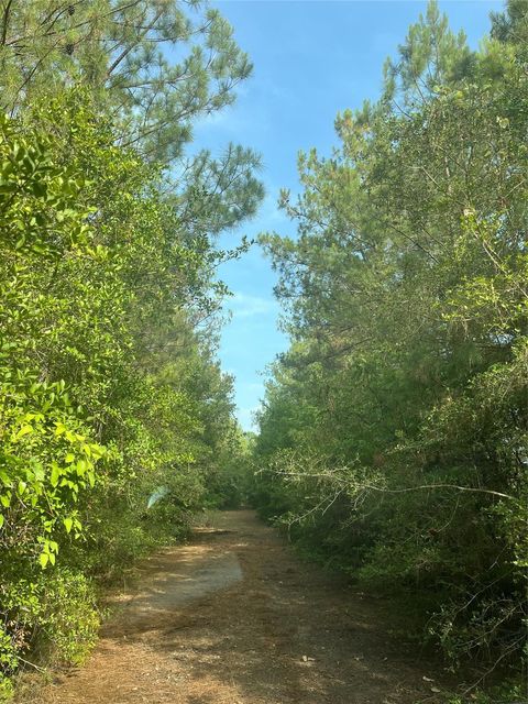 Photo of 12931 Hickory Branch Lane, Plantersville, TX 77363 (MLS # 11996678)