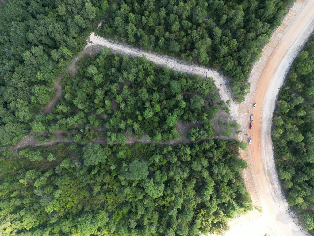 Photo of 11766 Grand North Road, Willis, TX 77378 (MLS # 10518040)