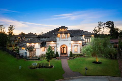 Photo of 13 Pleasant Shadows Drive, Spring, TX 77389 (MLS # 63294574)