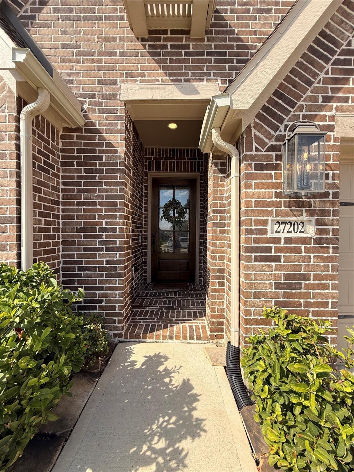 27202 Texas Bluebonnet Trail