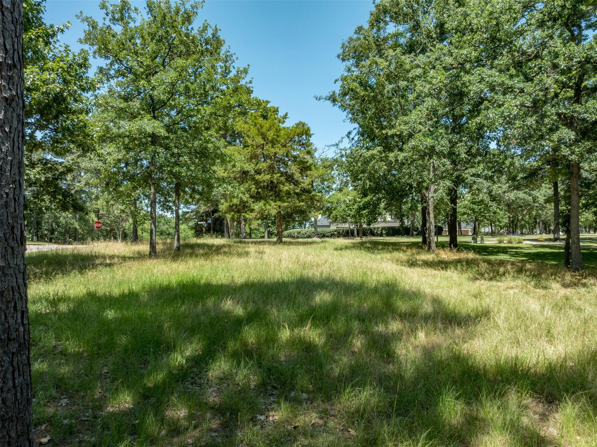 137 Eagles Bluff Blvd S