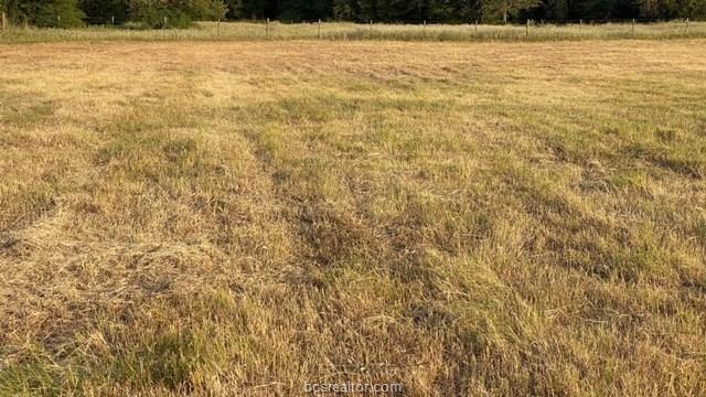 1290 Gun Range Road