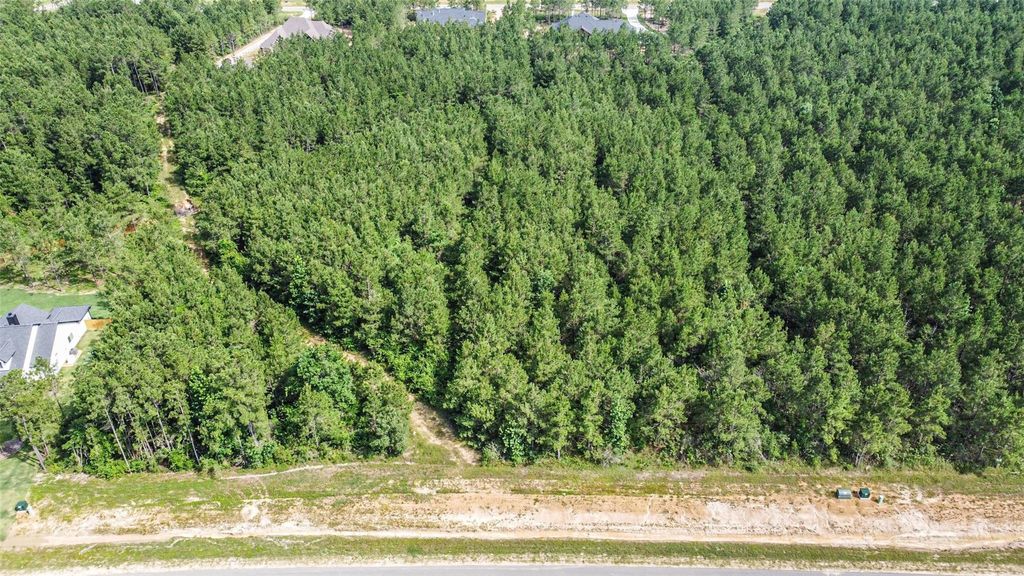 Photo of 15917 Ridge Oak Road, Willis, TX 77378 (MLS # 54450126)