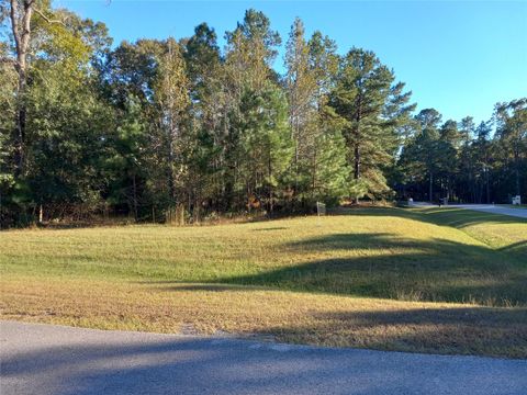 Photo of 9024 Water Crest Court, Montgomery, TX 77316 (MLS # 68369952)