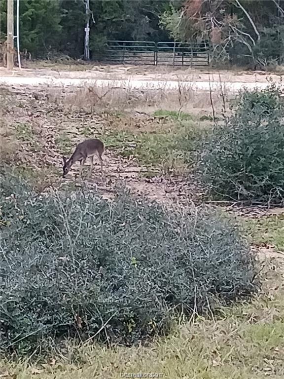 6273 Private Road 3443