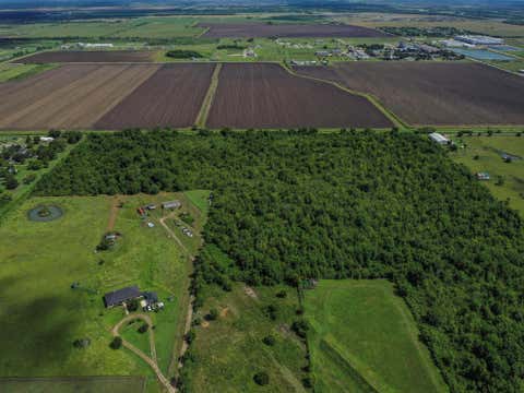 Tiny photo for 7 Fm 1462, Rosharon, TX 77583 (MLS # 80297047)