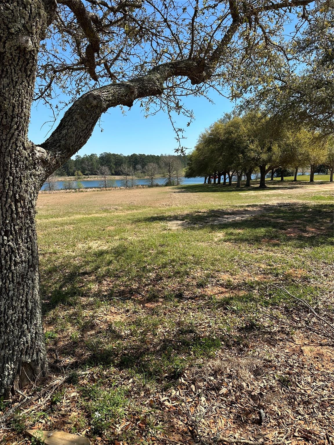 Lot 46 Lakeland Drive