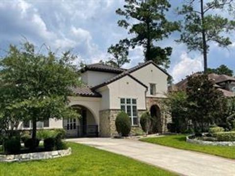 Photo of 38 Spincaster Drive, The Woodlands, TX 77389 (MLS # 64673173)