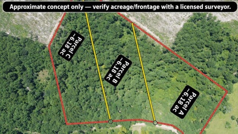 Photo of 18 Cr 3103, Call, TX 75933 (MLS # 95488184)