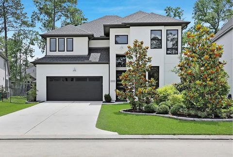 Photo of 6 Gentle Branch Place, Tomball, TX 77375 (MLS # 47667903)