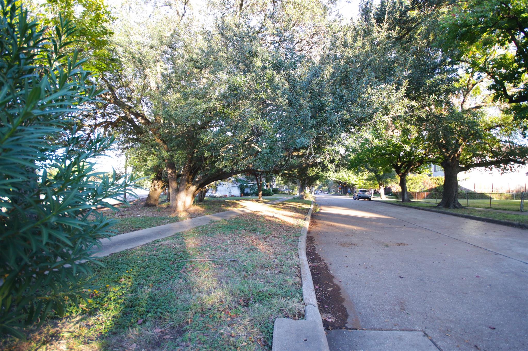 4210 Coleridge Street