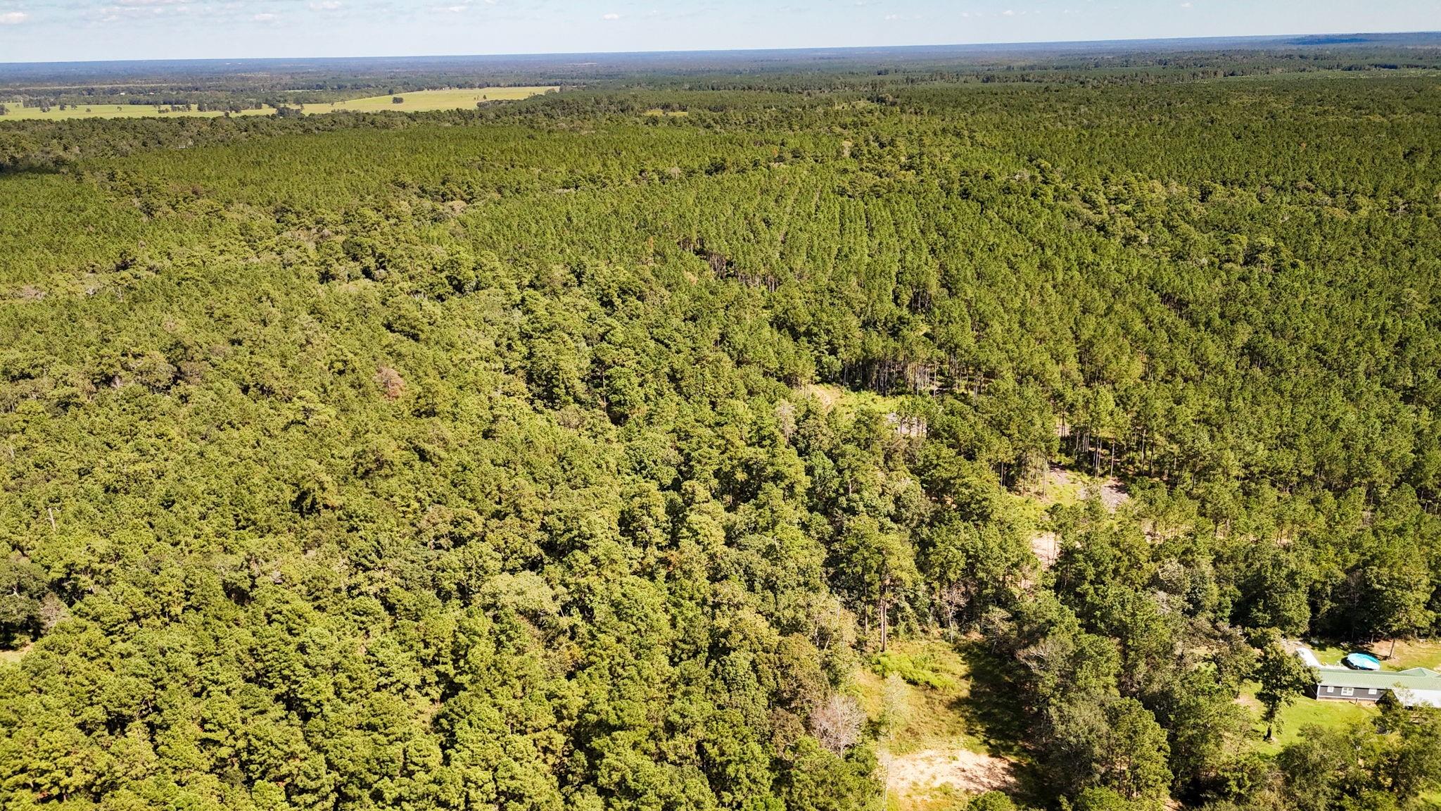 N/A County Road 2218