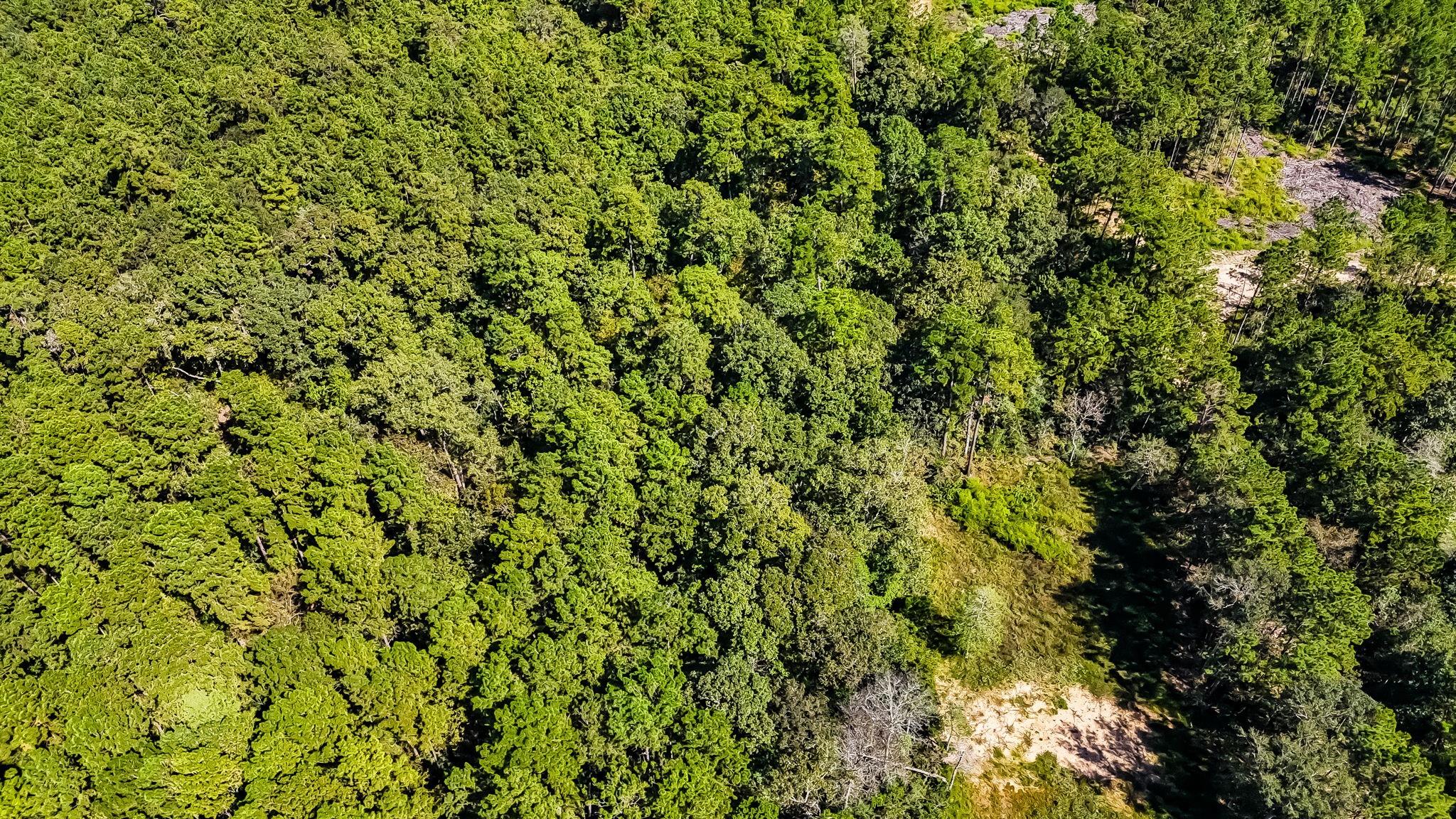 N/A County Road 2218