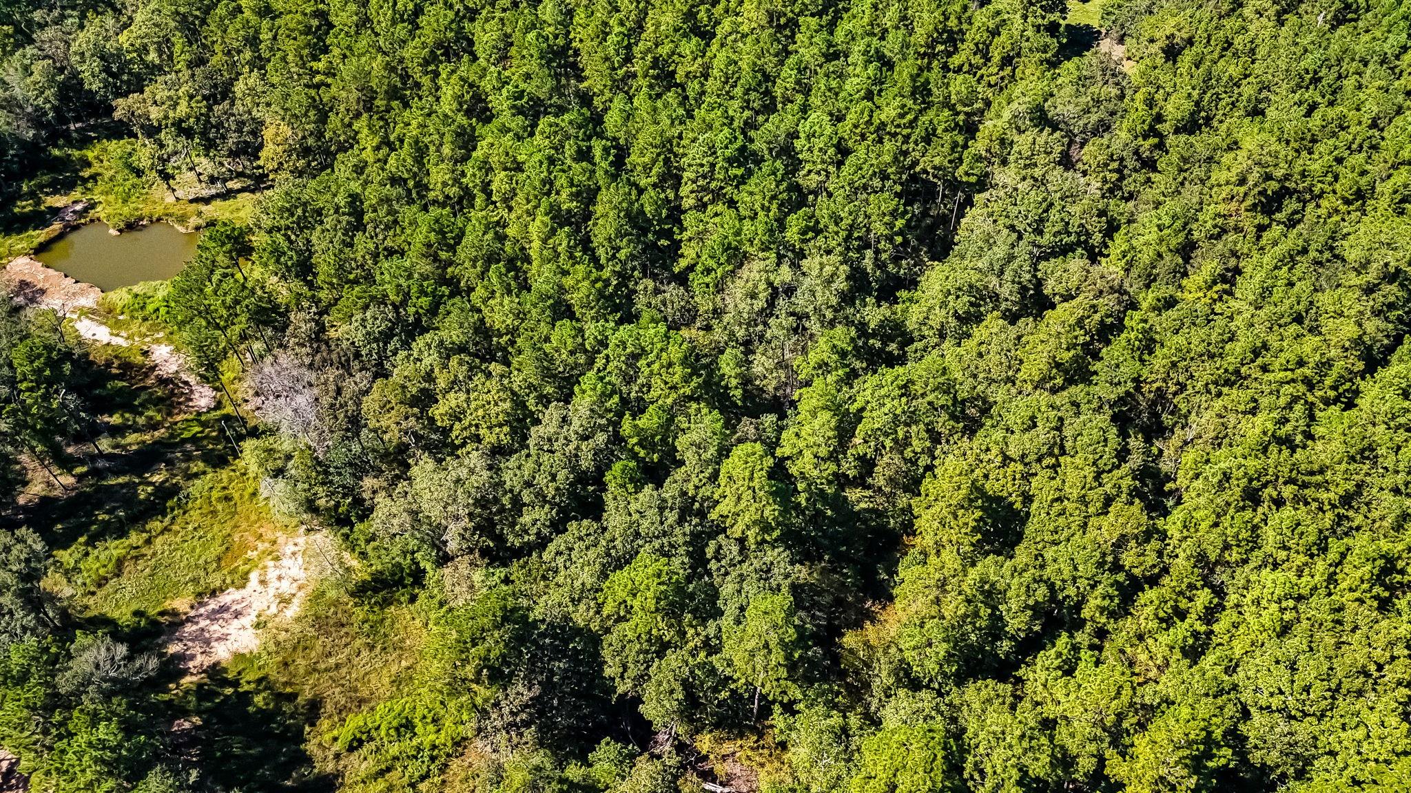 N/A County Road 2218