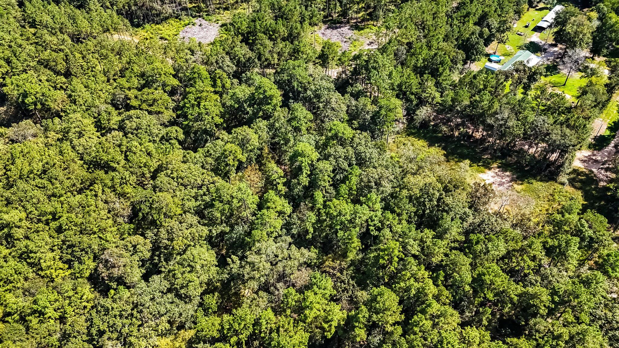 N/A County Road 2218