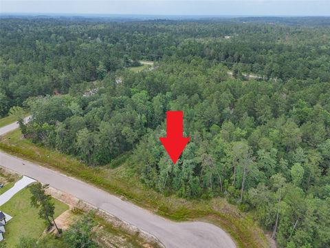 106 Eagle Run Road Willis TX 77378