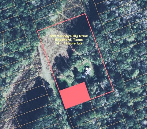 Photo of 300 Yancey Big Drink St, Shepherd, TX 77371 (MLS # 95171690)