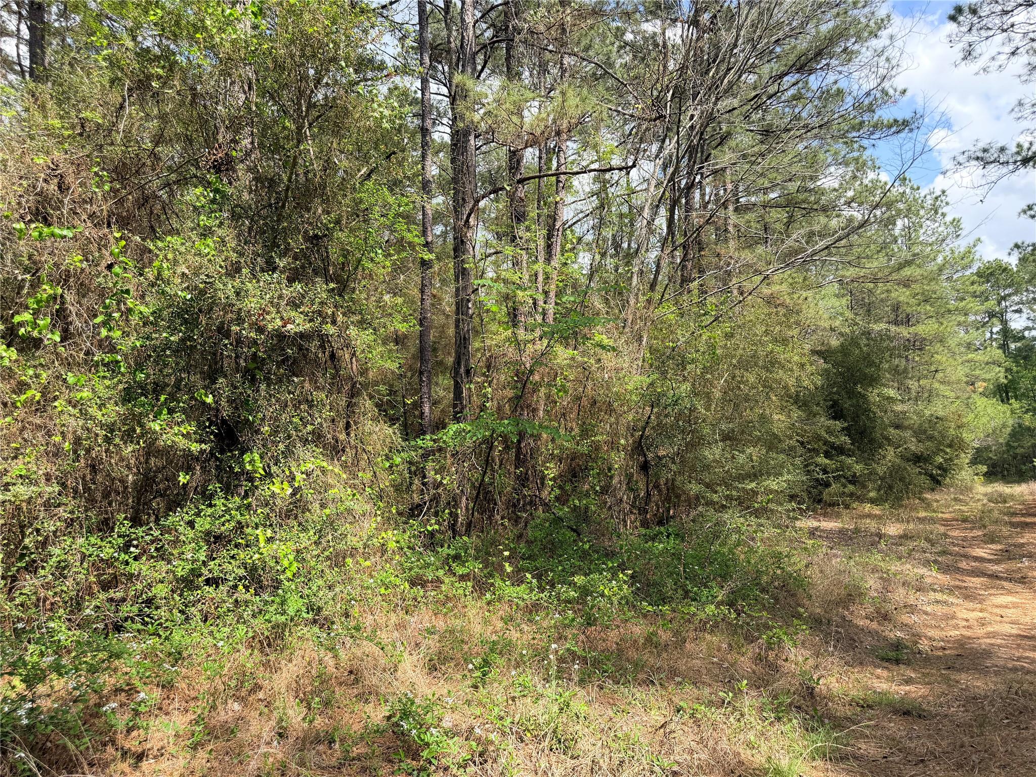 4341 & 4365 North Oaks