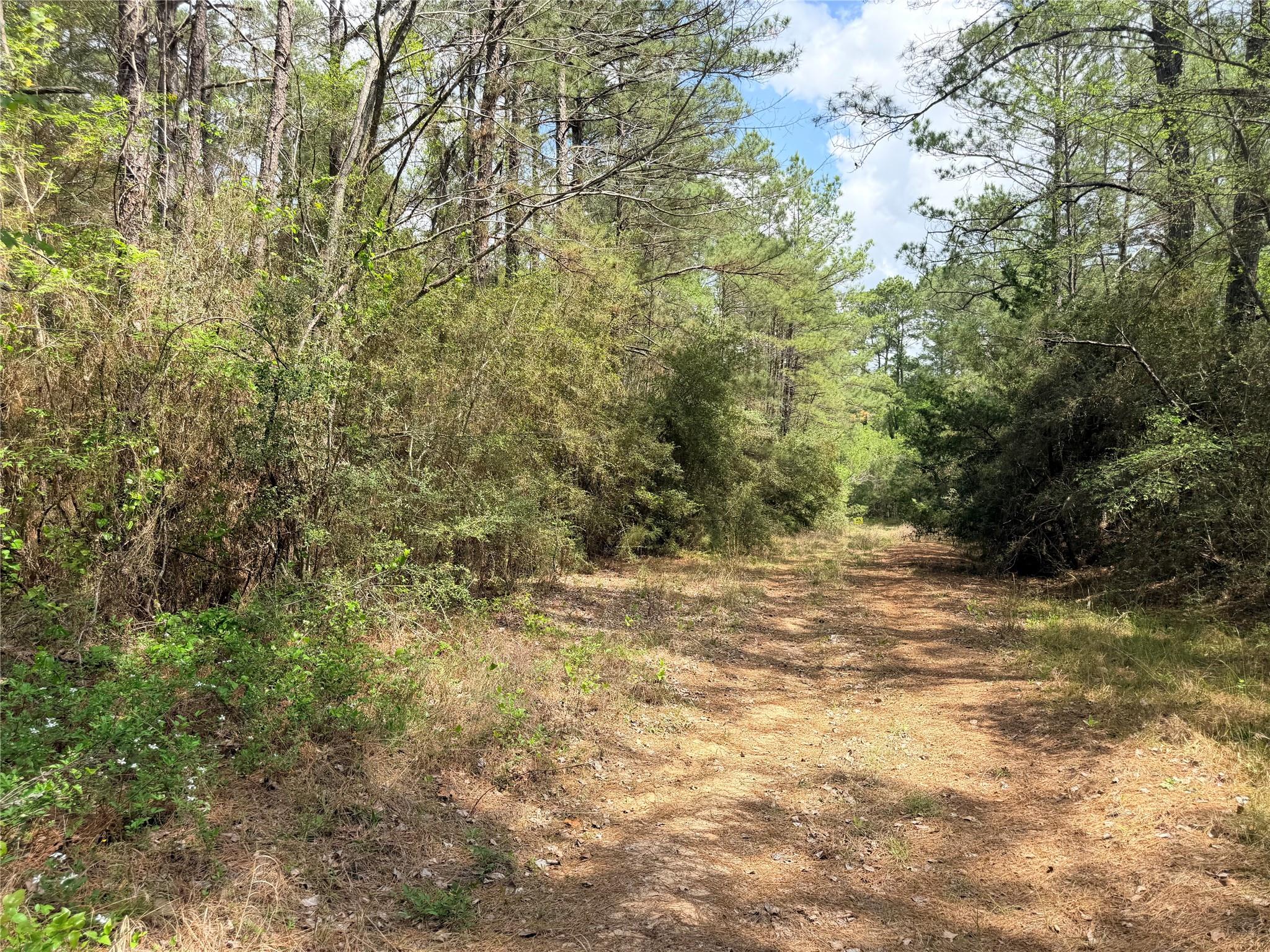 4341 & 4365 North Oaks