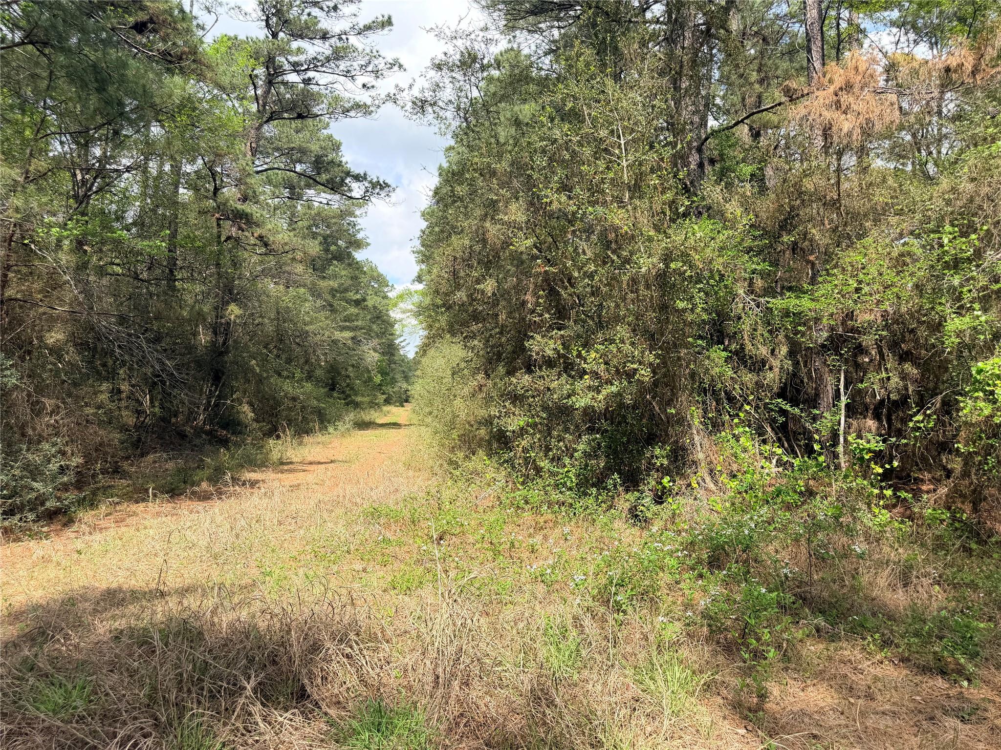 4341 & 4365 North Oaks