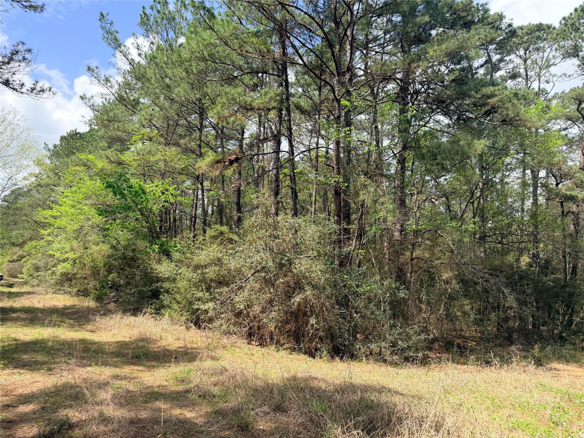 4341 & 4365 North Oaks