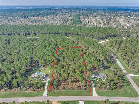 15929 Wood Grove Way Willis TX 77378