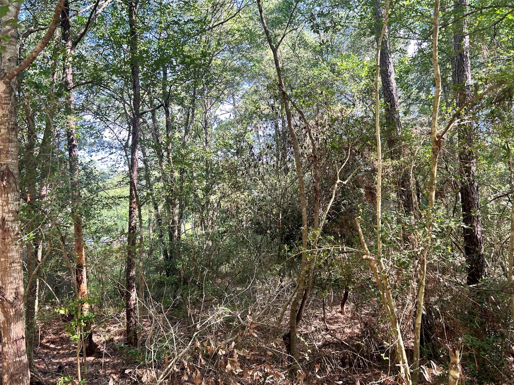 Lot 28 Sycamore Lane