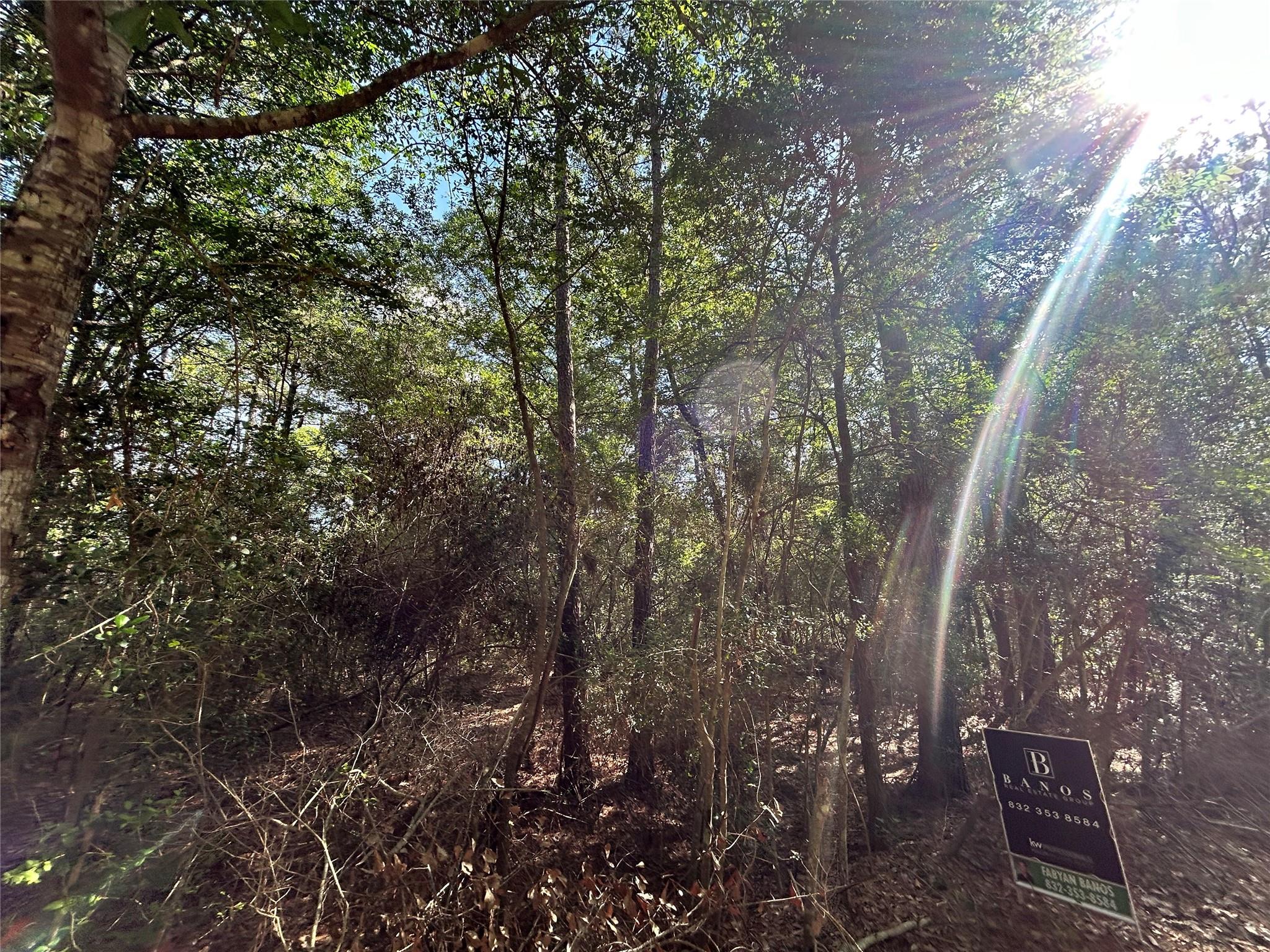 Lot 28 Sycamore Lane