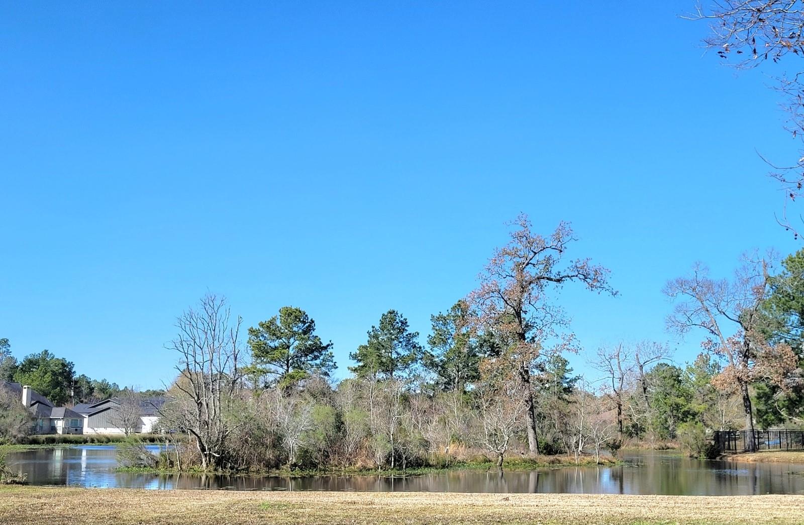 11827 Water Oak Drive