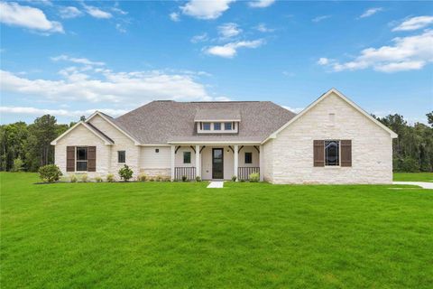 Photo of 540 Barton Place Drive, Tarkington, TX 77327 (MLS # 53349912)