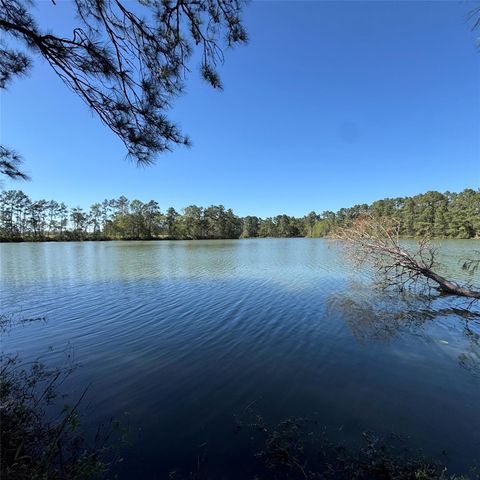 Photo of 6273 Alder Creek Drive, Montgomery, TX 77316 (MLS # 34744588)