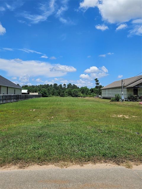 Photo of 131 County Road 5009, Cleveland, TX 77327 (MLS # 36764442)