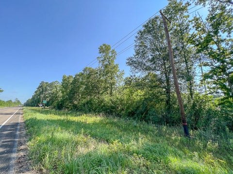 Vacant Land For Sale - TBD Fm 1008<br/> Liberty County, Dayton, TX 77535