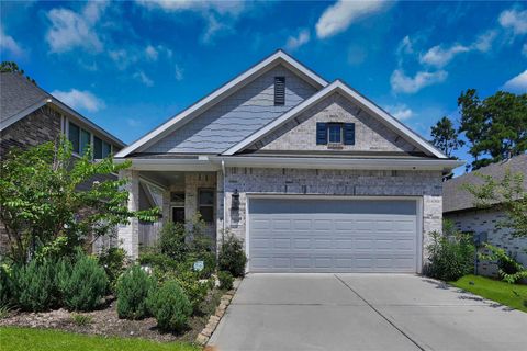 719 Lacebark Elm Trail Conroe TX 77318