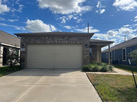 Photo of 25723 Bottlebrush Sedge Street, Katy, TX 77493 (MLS # 58542970)